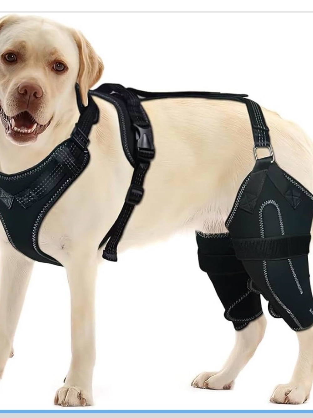 Lispoo Dog Knee Brace for Both Hind Legs with Hinged ACL Support